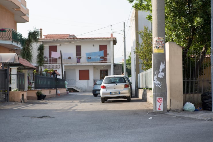 Michael De Feo, Flower (Saviano, Italy), 2008