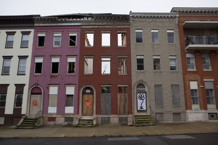 Michael De Feo, Flower (Baltimore, Maryland), 2012