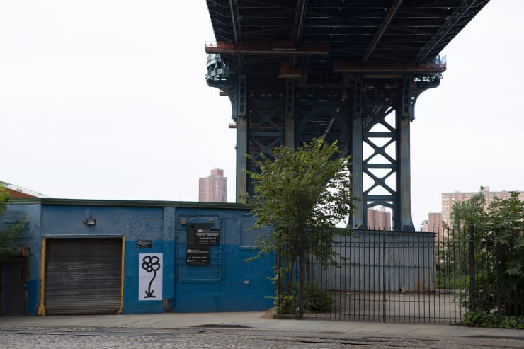Michael De Feo, Flower (Dumbo, Brooklyn, New York), 2012