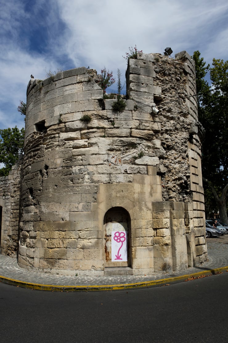Michael De Feo, Flower (Arles, France), 2011