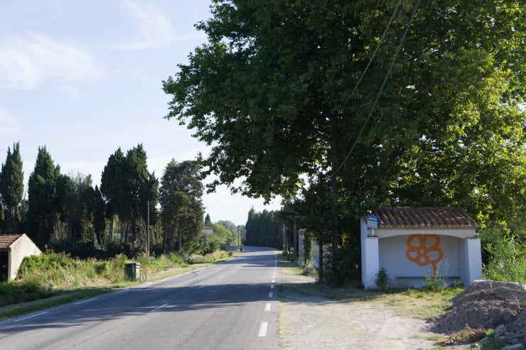 Michael De Feo, Flower (Saint-Remy-de-Provence, France), 2011