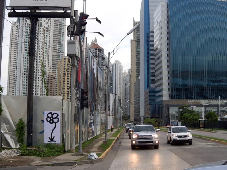 Michael De Feo, Flower (Panama City, Panama), 2014
