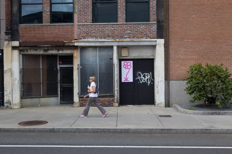 Michael De Feo, Flower (Boston, Massachusetts), 2012