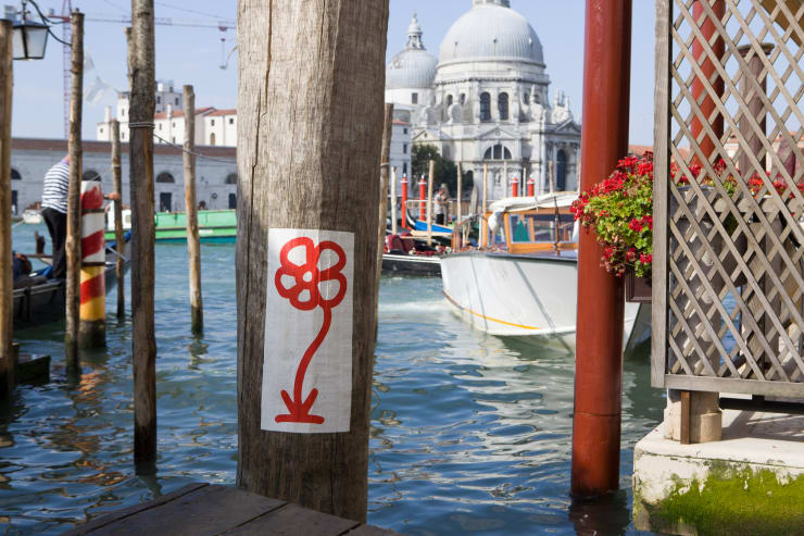 Michael De Feo, Flower (Venice, Italy), 2011
