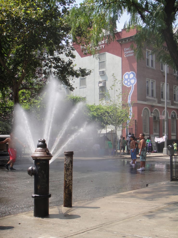 Michael De Feo, The Children's Aid Society, Harlem, New York, 2009