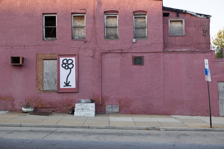 Michael De Feo, Flower (Baltimore, Maryland), 2012