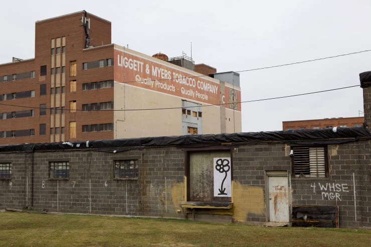 Michael De Feo, Flower (Durham, North Carolina), 2014