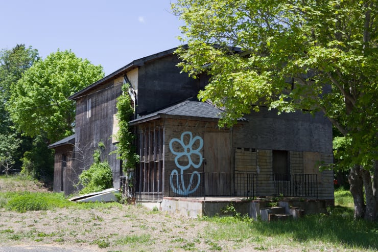 Michael De Feo, Flower (East Hampton, New York), 2014