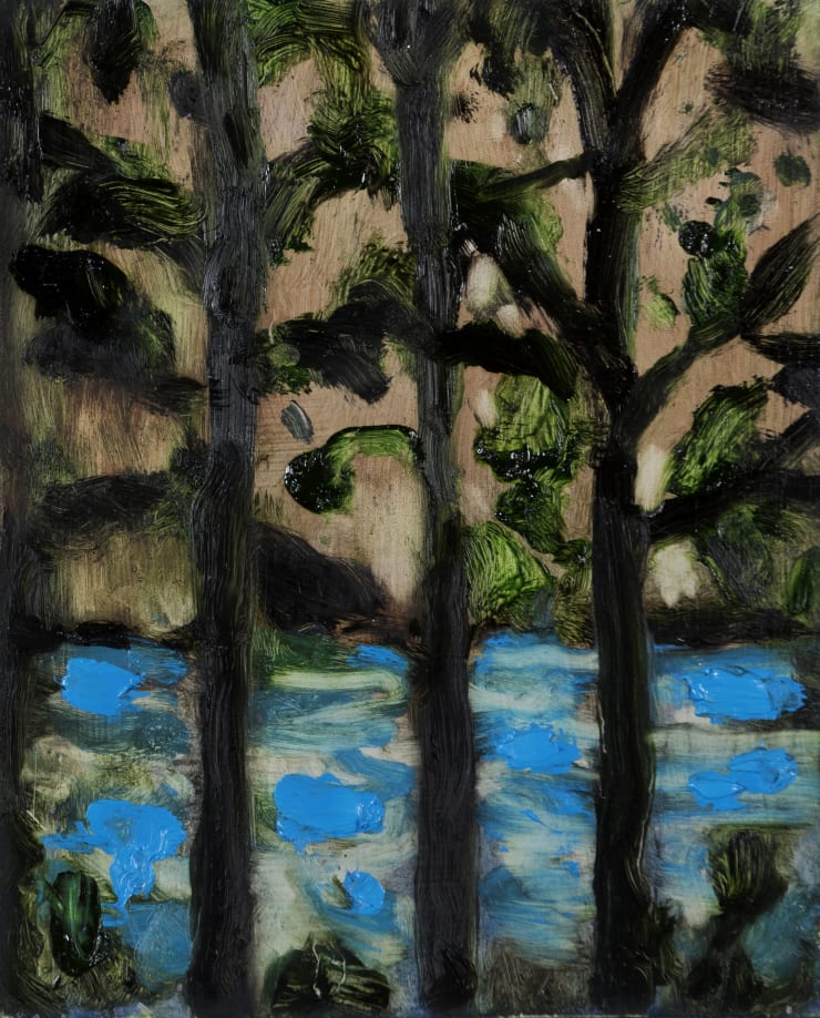 Suzy Murphy, Through the Trees and Into the Lake, 2017