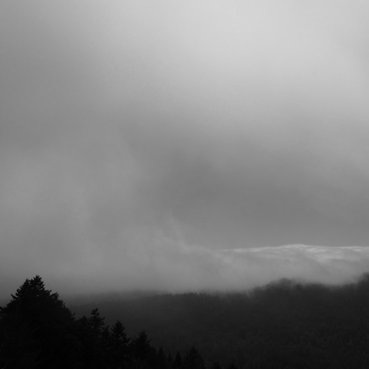 Miya Ando, To Bolinas, 2014