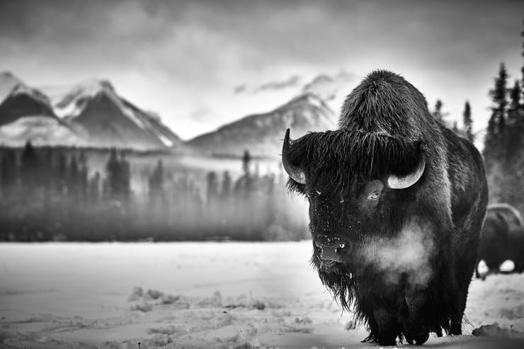 Amanda Rica Taylor, Mellowed Earth II, 2019