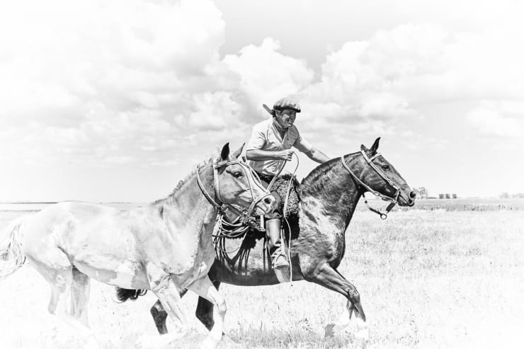 Amanda Rica Taylor, Making The Ground Tremble, 2019