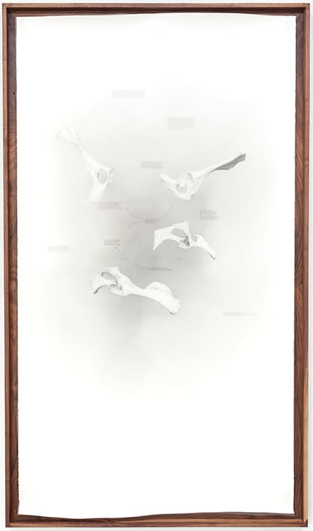 Nate Young Divining No. 2, 2017 graphite on paper and vellum, walnut frame 79 x 46 in. 200.7 x 116.8 cm