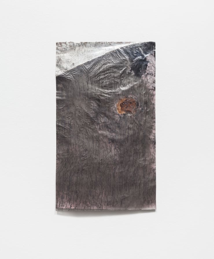 Kate Levant A Rubbing of Iridescent Must, 2016 Graphite, Sicilian mold, plastic laminate, aerosol enamel on vinyl 16 x 9 1/2 in. 40.6 x 24.1 cm