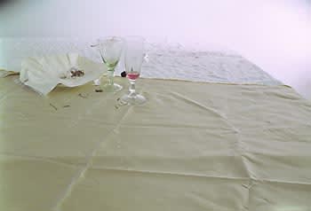 Laura Letinsky Untitled #48 from the series Hardly More Than Ever, 2005 Chromogenic print mounted on Sintra 24 3/4 x 35 in. 62.9 x 88.9 cm