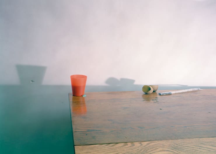 Laura Letinsky Untitled #52 from the series I did not remember I had forgotten, 2002/03 chromogenic print archivally mounted on Sintra 25 x 35 in. 63.5 x 88.9 cm Edition of 15