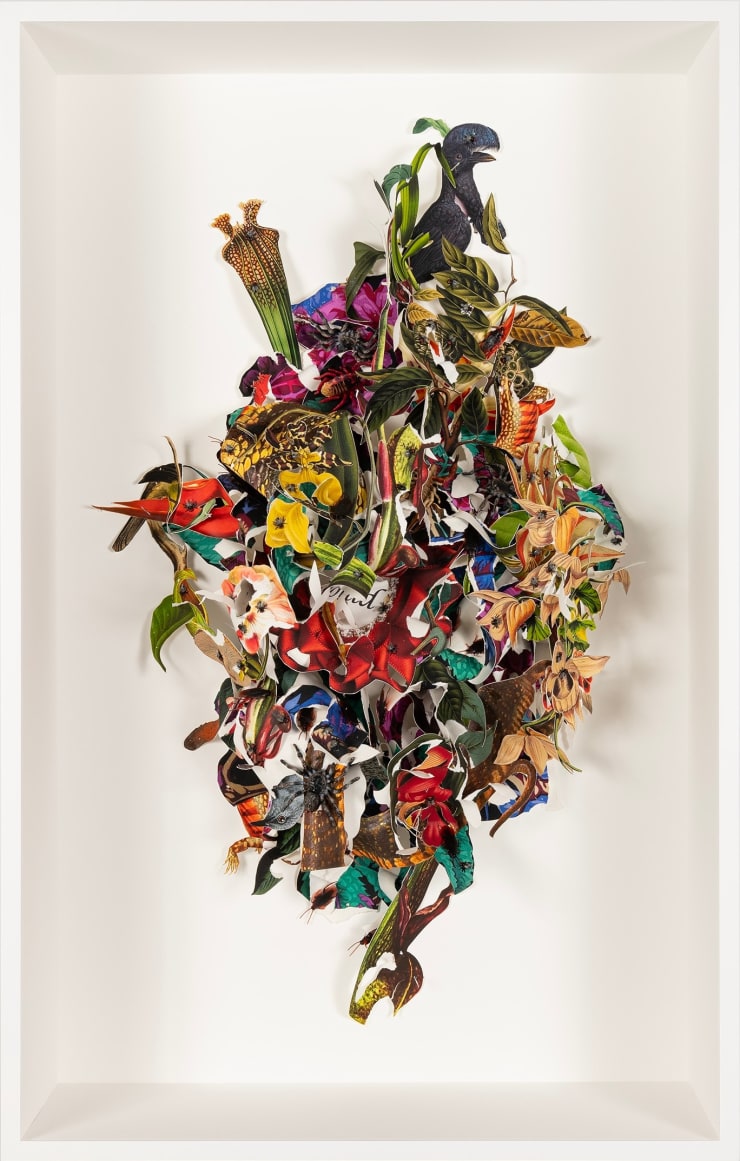 Ebony G. Patterson Studies for a vocabulary of loss XVI, 2024 digital print on archival watercolor paper, and construction paper with plastic flies, roaches, spiders, and memorial rosette with the word "would" 47 1/2 x 30 1/2 x 12 in (framed) 120.7 x 77.5 x 30.5 cm