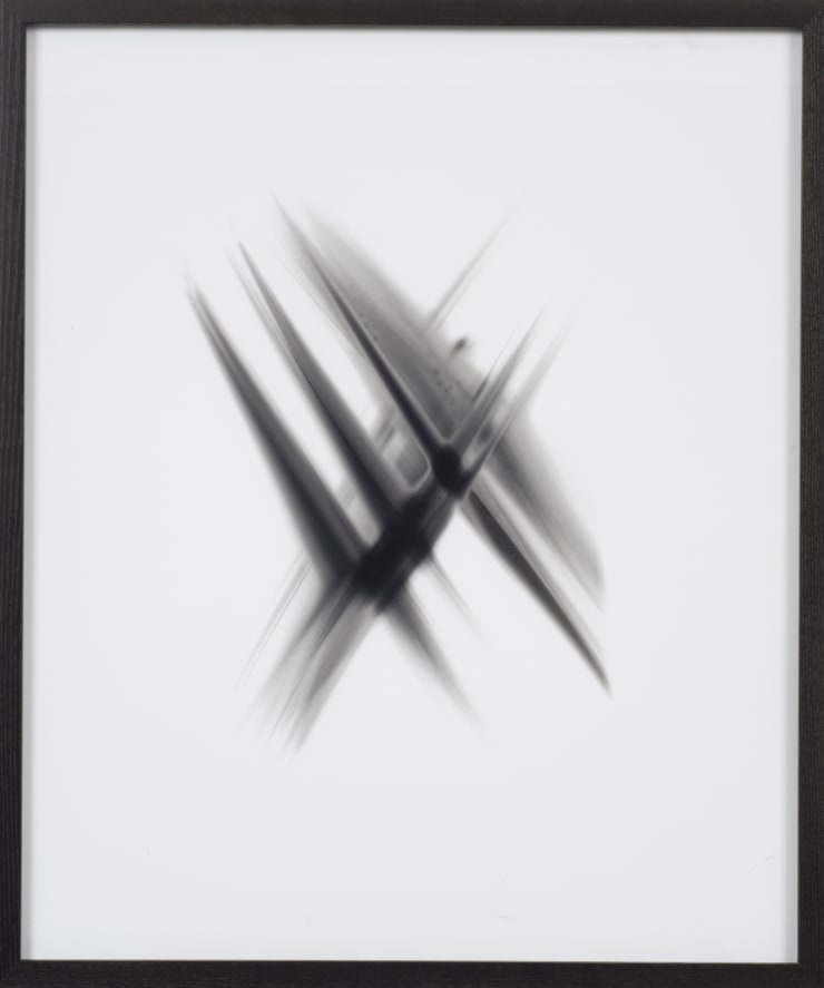 Sheree Hovsepian Untitled #6 from the "Haptic Wonders" series, 2012 unique photogram 24 x 20 in. 60.96 x 50.8 cm