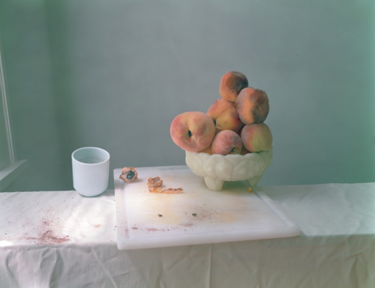 Laura Letinsky Untitled #49 from the series I did not remember I had forgotten, 2002/03 chromogenic print archivally mounted on Sintra 19 x 28 in. 48.26 x 71.12 x 0.0 cm Edition of 15