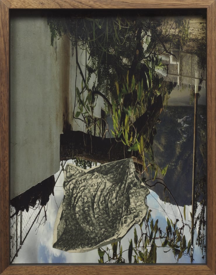 Candida Alvarez Puerto Rico Hurricane Collage (Villalba) no. 2, 2017-2018 photo collage 11 1/4 x 8 3/4 in. 28.6 x 22.2 x 0.0 cm