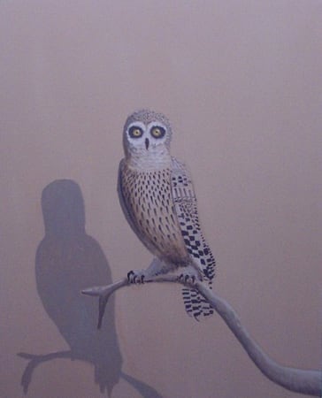 Joe Baldwin Owl with Shadow, 2002 oil on canvas 50 x 40 in. 127.0 x 101.6 cm
