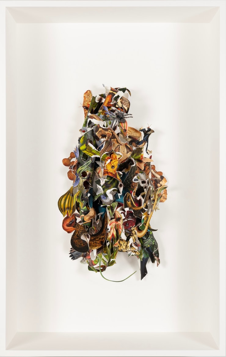 Ebony G. Patterson Studies for a vocabulary of loss XII, 2024 digital print on archival watercolor paper, and construction paper with feather plastic flies, roaches, spiders, and memorial rosette with the word "mislaying" 47 1/2 x 30 1/2 x 12 in (framed) 120.7 x 77.5 x 30.5 cm