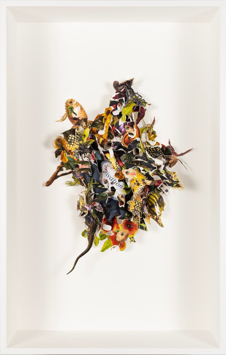 Ebony G. Patterson Studies for a vocabulary of loss XX, 2024 digital print on archival watercolor paper, and construction paper with plastic flies, roaches, spiders, and memorial rosette with the word "privation" 47 1/2 x 30 1/2 x 12 in (framed) 120.7 x 77.5 x 30.5 cm