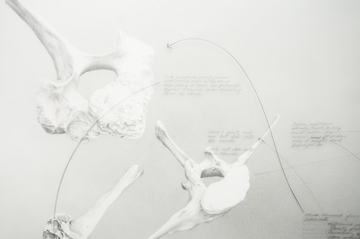 Nate Young Divining No. 1, 2017 graphite on paper and vellum, walnut frame 79 x 46 in. 200.7 x 116.8 cm