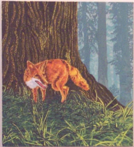 Chris Patch Untitled (Fox), 2003 vinyl paint on canvas 20 x 18 in. 50.8 x 45.72 cm