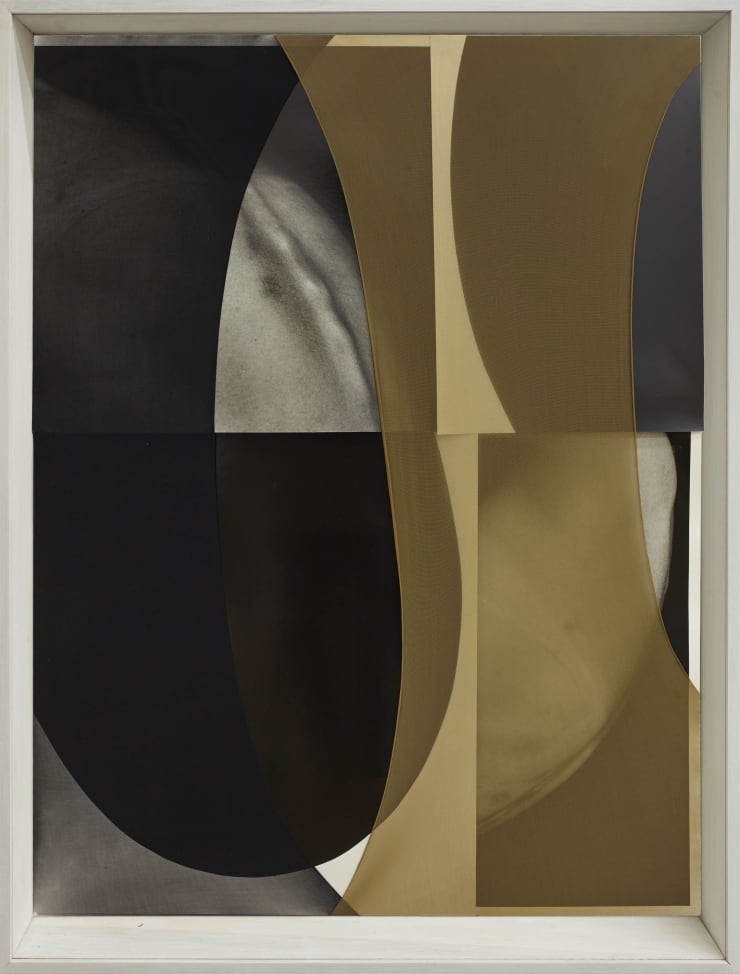 Sheree Hovsepian, Neural Glide, 2018