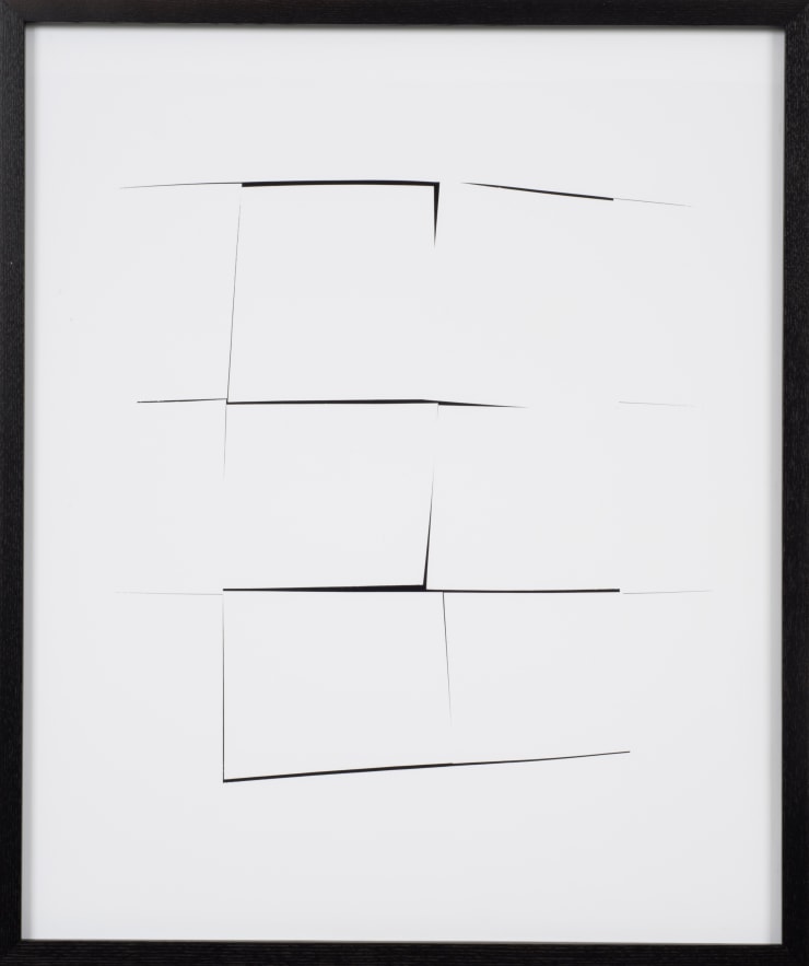 Sheree Hovsepian Untitled #8 from the "Haptic Wonders" series, 2012 unique photogram 24 x 20 in. 60.96 x 50.8 cm