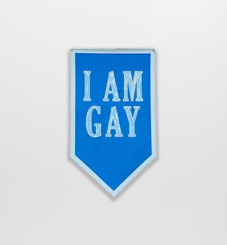 Cheryl Pope I AM GAY from A SILENT I, 2010 Nylon with adhered vinyl text and grommets 59 1/2 x 35 1/4 in. 151.13 x 89.54 cm