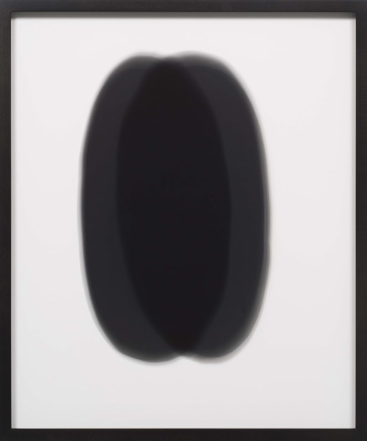 Sheree Hovsepian Untitled #76, from the Haptic Wonders series, 2012 Unique Gelatin Silver Print (Photogram) 24 x 20 in. 60.96 x 50.8 cm