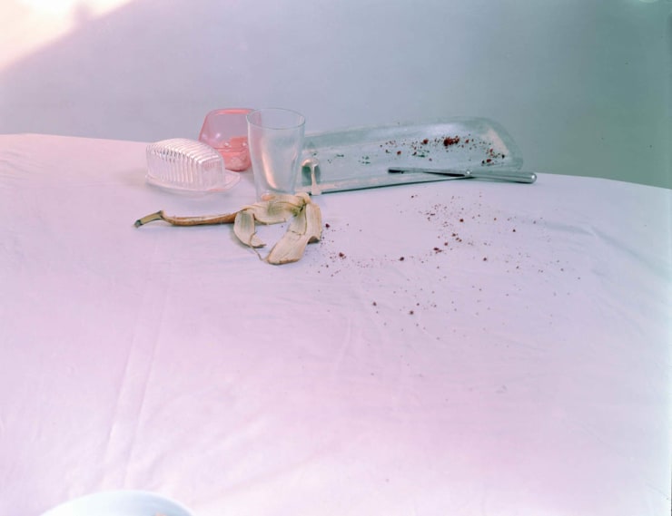 Laura Letinsky Untitled #57 from the series I did not remember I had forgotten, 2002/03 chromogenic print archivally mounted on Sintra 25 1/2 x 35 in. 64.77 x 88.9 x 0.0 cm Edition of 15