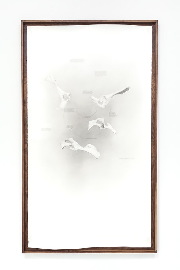 Nate Young Divining No. 2, 2017 graphite on paper and vellum, walnut frame 79 x 46 in. 200.7 x 116.8 cm
