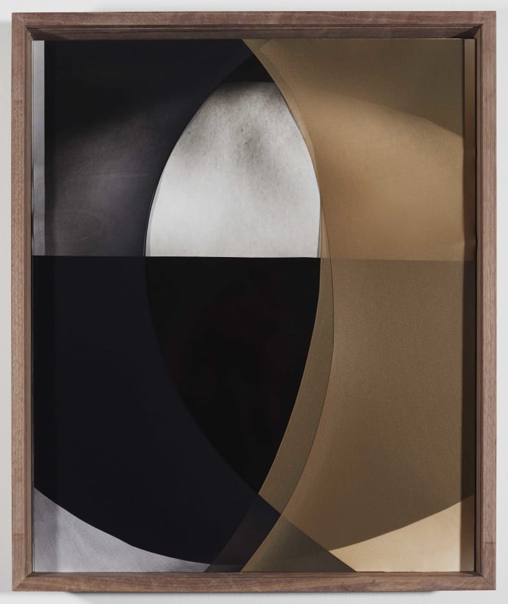 Sheree Hovsepian, Orbit, 2021