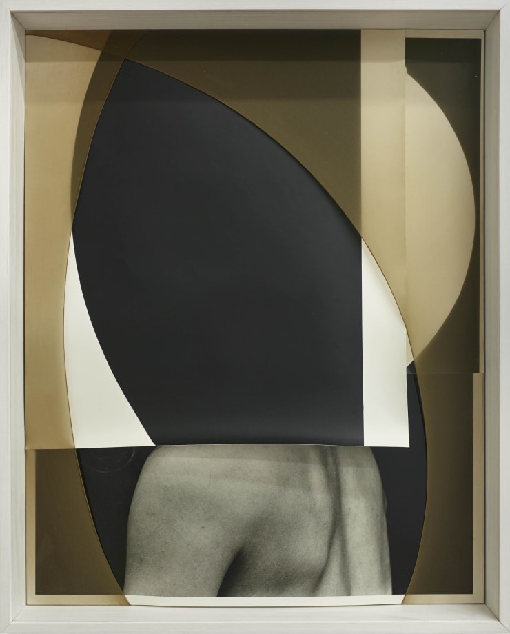 Sheree Hovsepian, Introvert, 2018