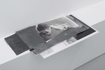 Kate Levant Awe Bird without Eyes and Vito, 2013 Pigment prints, nylon stockings, plastic laminate 8.5 x 14 inches