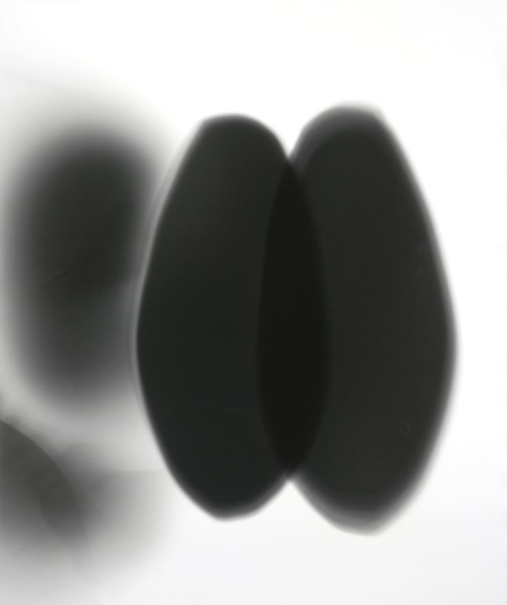 Sheree Hovsepian Untitled #68, from the Haptic Wonders series, 2012 Unique Gelatin Silver Print (Photogram) 24 x 20 in. 60.96 x 50.8 cm