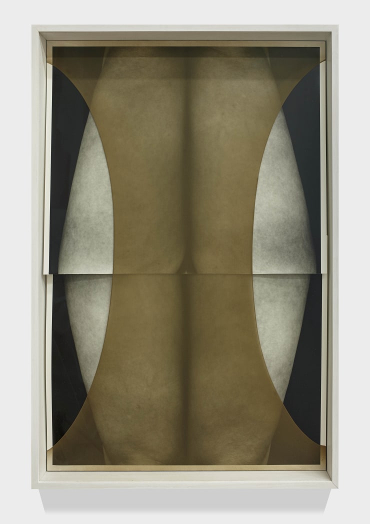 Sheree Hovsepian, Bliss, 2018