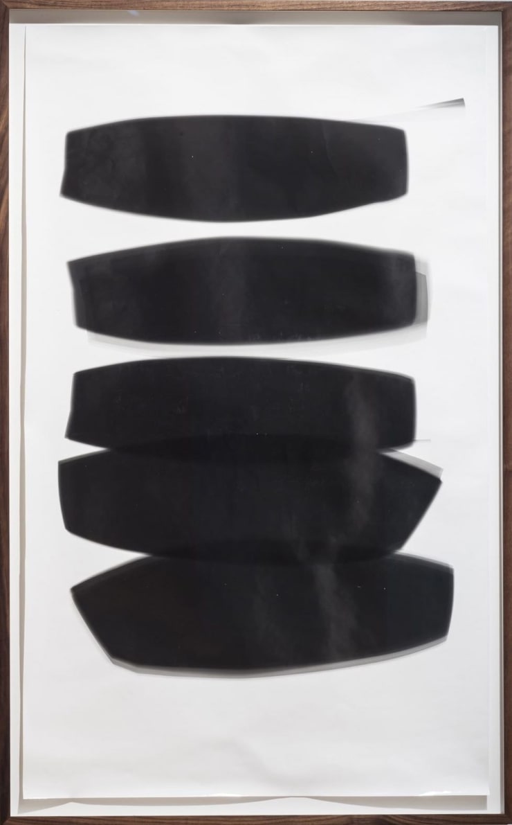 Sheree Hovsepian Every Contact Leaves a Trace, 2014 Unique silver gelatin photogram 44 1/2 x 27 1/2 in. 113.03 x 69.85 cm