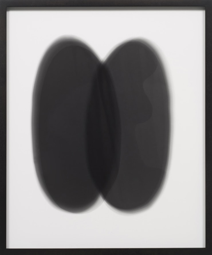 Sheree Hovsepian Untitled #74, from the Haptic Wonders series, 2012 Unique Gelatin Silver Print (Photogram) 24 x 20 in. 60.96 x 50.8 cm