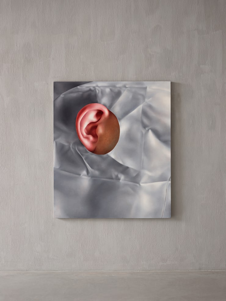 Lukas Luzius Leichtle, Proclaimed Truths , 2022