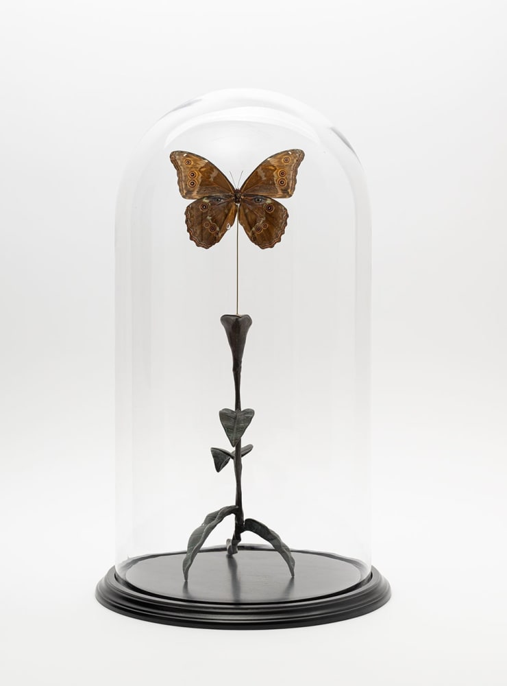 Chris Oh, Fulcrum, 2025