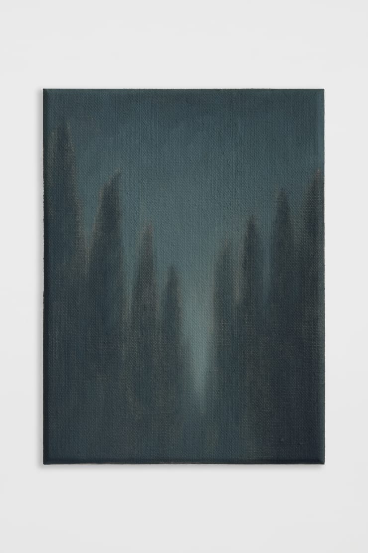 Jake Aikman, Cypresses sempervirens I, 2025