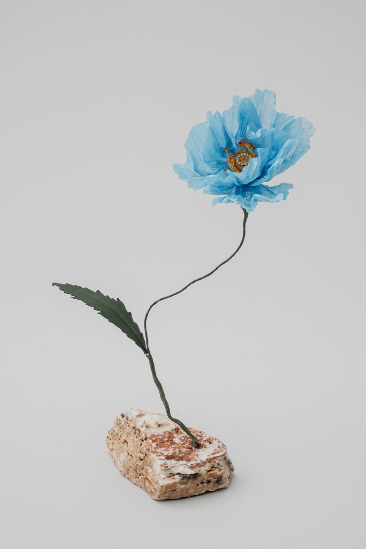 Megumi Shinozaki: edenworks Poppy, 2020 Paper, Wire, Stone
