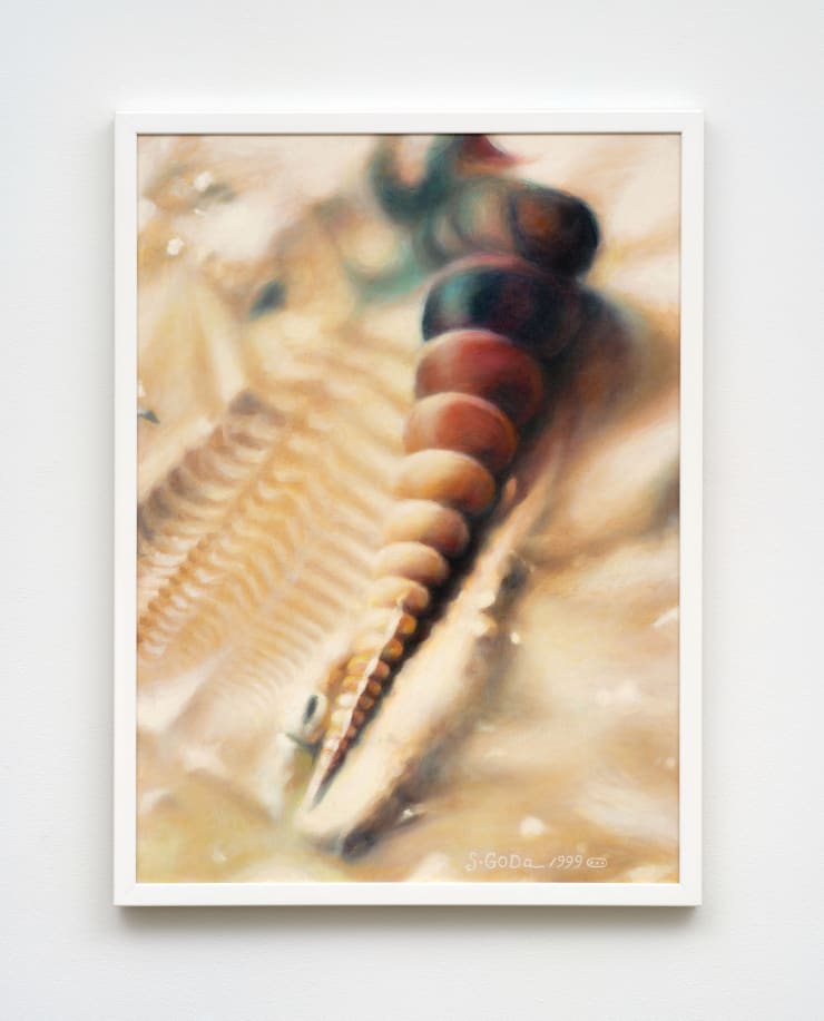 Sawako Goda A Walk of the Sea Shell 巻き 貝 の 散歩 , 1999 Oil on canvas, framed 28 5/8 x 20 7/8 in (72.7 x 53 cm)