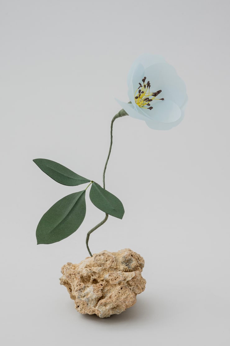 Megumi Shinozaki: edenworks Rose, 2020 Paper, Wire, Stone