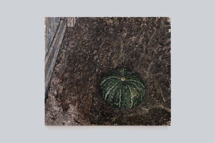 Takeshi Honda 南瓜, 2021 Oil on canvas 18 1/8 x 20 7/8 in 46 x 53 cm