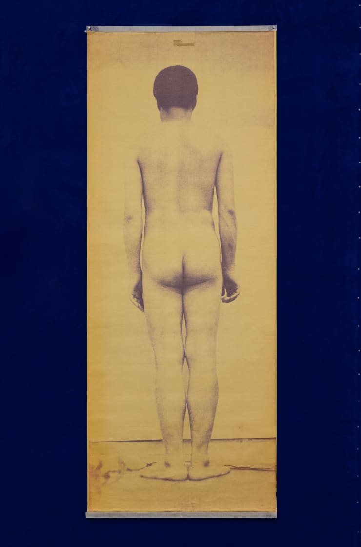 Tatsumi Hijikata - Archive 中西夏之: 男子背面,Work by Natsuyuki Nakanishi, Back of Natsuyuki Nakanishi (From General Catalogue of Males '63), 1961 Blue print 66 3/8 x 26 1/4 in 168.5 x 66.7 cm